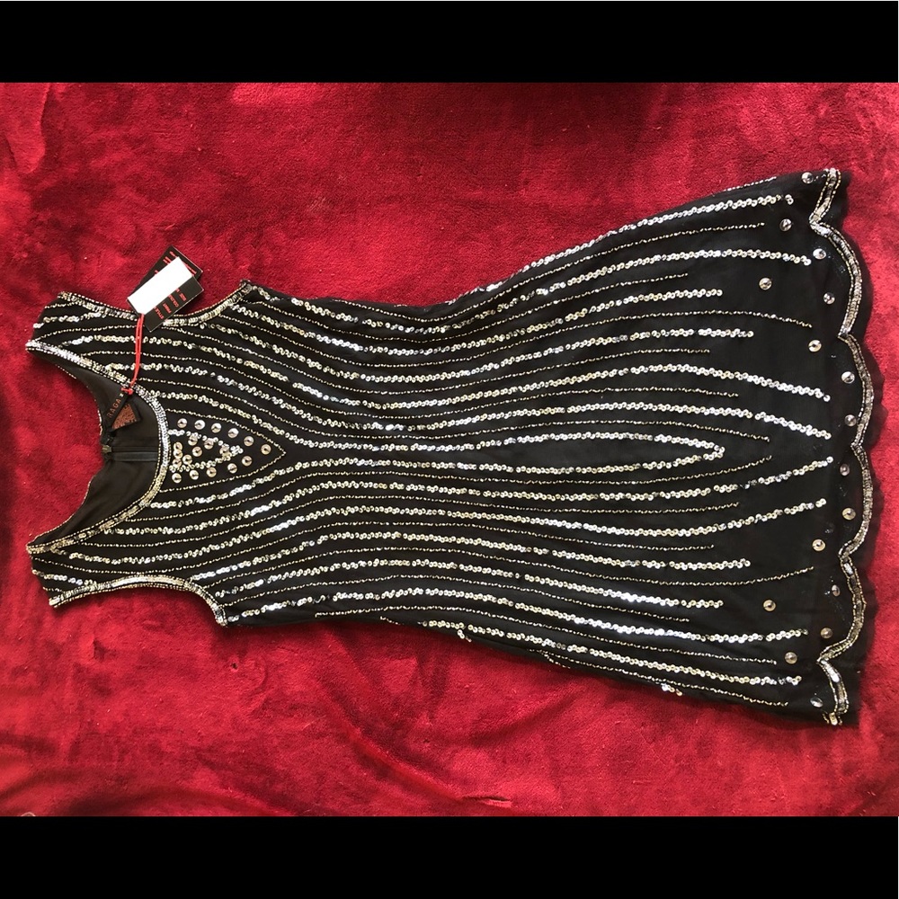 Sequenced Beautiful Raga Dress✨